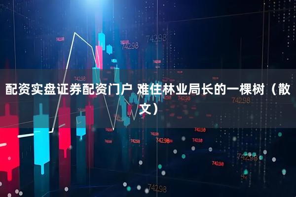 配资实盘证券配资门户 难住林业局长的一棵树（散文）